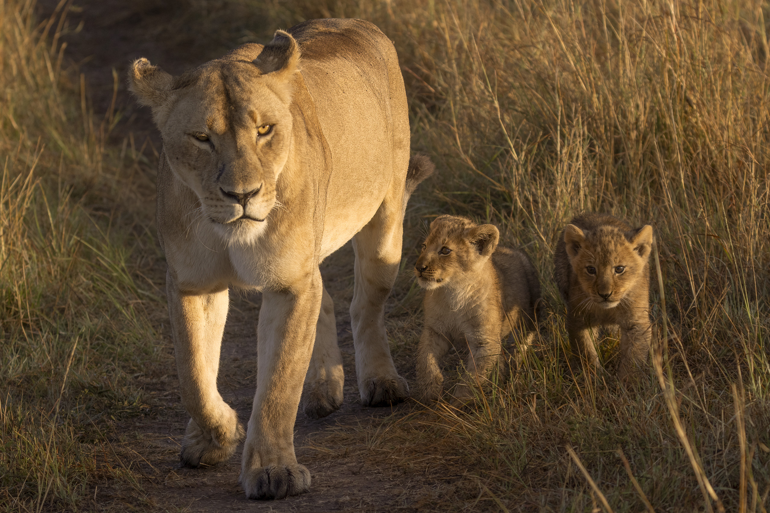 November 11, 2022-064041-5-Edit.jpg